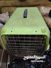  1 قفص قطط أصلي جديد من النوع الثقيل