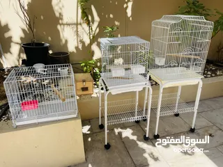  1 Heavy Duty Parrot cages 3 nos for 250/- Dhs @Khalifa City, Abu Dhabi