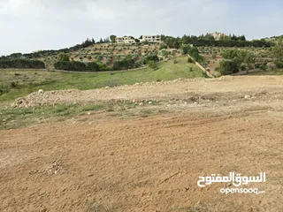  27 غرب سوف سهلات الغربيه قرب قصر السفير الاماراتي منطقه فلل و مزارع راقيه
