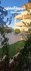  23 مزرعه سرايا الشهم vip في شمال اربد مع مسبح داخلي مدفا