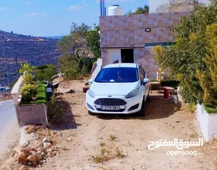  1 فرد فيستا  السياره الاوفر