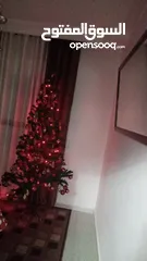  1 شجرة عيد الميلاد " كريسماس " Christmas tree for sale