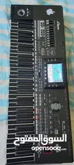  1 اورغ بحالة الوكاله 3XOR