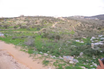  5 دونم ارض طابوا فلسطيني منطقة (B)بالقرب من دوار كفرصور جميع الخدمات فيها عليها شارع 12متر موقع مميز