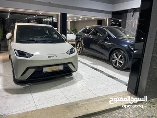  2 بي واي دي سيجول موديل 2023  كاش او اقساط