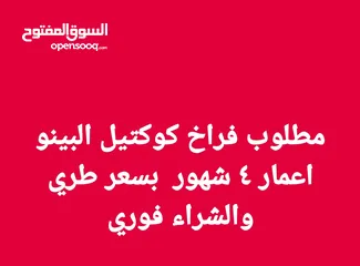 1 مطلوب مطلوب مطلوب