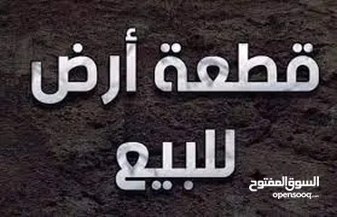  1 متوفر ارض كوشان مستقل في اجمل اراضي قوصين تصينف B متوفر كافة الخدمات اطلالة رائعة وتنازل مباشر