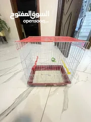  1 قفص طيور للبيع