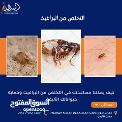  8 شركة الهدهد لمكافحة الحشرات والقوارض والتعقيم وتنسيق الحدائق وخدمات النظافة بخدمتكم