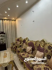  3 تخم ملكي للبيع