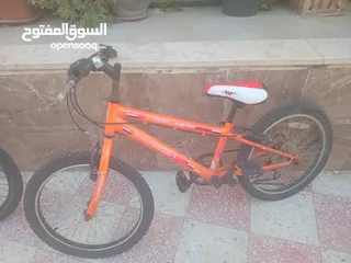  1 بسكليت نمره 20
