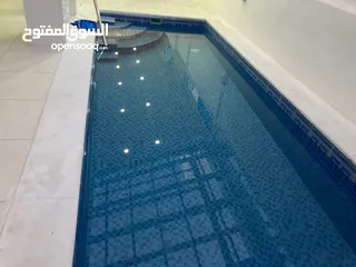  22 بناء مسابح بنظام سكيمر