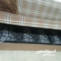  2 صوفا تفصيل حديد ثقيل عدد 2 وقابله للفتح كاتخت والجلوس واسعه لتخزين بحاله جيده والسعر حرق من الاخر
