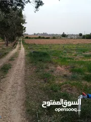  1 مزرعة للبيع في سيدي السائح