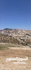  4 قطع سكنية مخدومة قريبة من شارع الاردن مساحات مختلفة