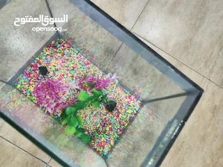  3 حوض سمك مجهز عبي مي و حط سمكاتك ، الطول 32 سم ارتفاع 23 سم عمق 21 سم