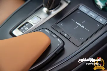  16 Lexus UX300e 2022