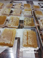  14 يوجد عسل طبيعي مكفول 100٪ من جبال عجلون _ عرجان