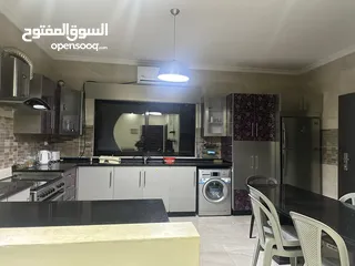  3 Furnished apartment for rent near ICS