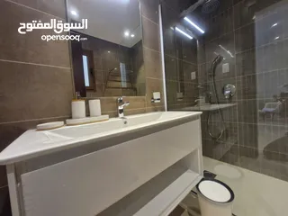  8 1 BR Fully Furnished Apartment for Rent – Jebel Sifa