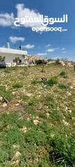  2 قطعه أرض في اجمل مواقع عجلون
