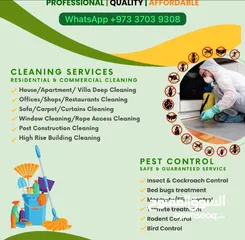  1 Professional cleaning service