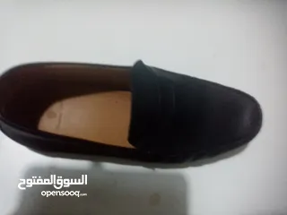  8 حذاء ماسيمو دوتي