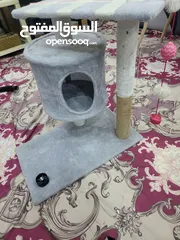 22 بيع الأثاث ومستلزمات الأطفال وإكسسوارات الحيوانات الأليفة وأقفاص الطيور  birds cages baby   items