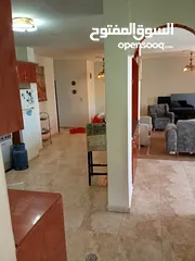  12 شقة مفروشة للايجار ام الشرايط فئة شباب