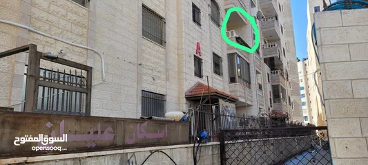  2 هشام محمد سامي سعيد
