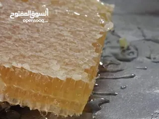  18 يوجد عسل طبيعي مكفول 100٪ من جبال عجلون _ عرجان