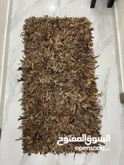  1 سجاد جلد طبيعي