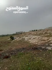  20 ارض سكنيه قرب مثلث حور فوعرا للبيع بسعر مغري