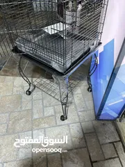  3 عرض على أقفاص العجال ستاند متحرك العرض لمدة أسبوع