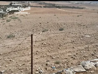  3 قطعة أرض 4 دونم و 632 متر في بلعما منطقة الزيتونه