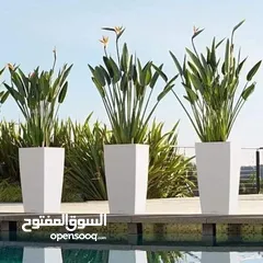  1 شمس و ورد لتنسيق وصيانة الحدائق