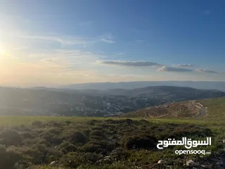  14 ارض الكمشة - استثمارية عالية و مطلة ( راس جبل)  قريب شارع الاردن 4 دونم إطلالة بانورامية مطلة