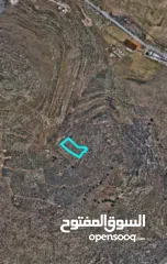  2 احمد ابو مصطفى