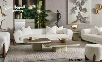  12 Ali furniture