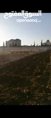 3 تشييك الاراضي والمزارع شيك شبك سياج