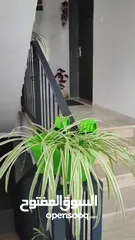  11 شقة للبيع منطقة المسجد جفنا