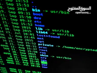  3 مدرس خصوصي بخبرة في مجال التدريس على استعداد لإعطاء مادة حاسوب التوجيهي