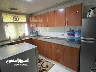  4 شقة غرفة وصالة للايجار السنوى شارع خليفة النعيمية