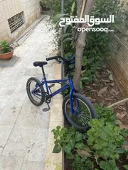  1 للبيع او بدل علا عصافير