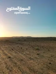  5 ارض للبيع بسعر ممتاز