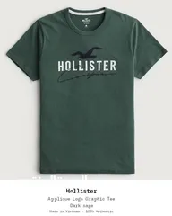  8 Original Hollister t-shirts form Germany 100%