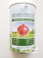  1 بدور البصل الأحمر اليمني بافطيم محسن رقم 1