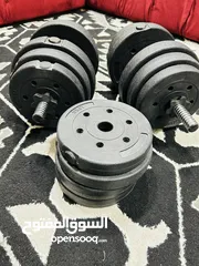  1 Dumbbell 30 kg