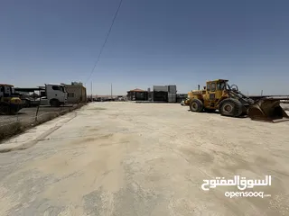  1 معرض في المنطقة الحرة