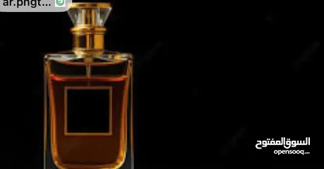  1 وصل حديثاً: عطر إيليت (ELITE) - الرائحة الأكثر جاذبية وفخامة!